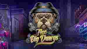 The Big Dawgs Menguak Rahasia Slot Online yang Menarik.  Bumi pertaruhan online lalu bertumbuh cepat dengan timbulnya bermacam berbagai game yang menarik untuk para pemeran di semua bumi.