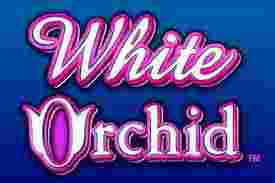 White Orchid GameSlot Online - Hadapi Kecantikan Alam dengan Permainan Slot Online White Orchid. Dalam bumi bercelak pertaruhan
