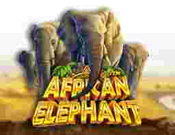 GameSlot Online African Elephant - Hadapi Petualangan di Savana dengan Slot Online African Elephant. African Elephant merupakan game slot
