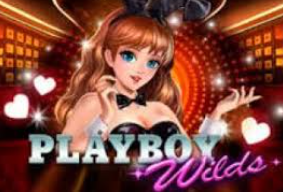Main Di Game Slot Online Playboy Wilds!