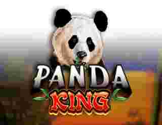 Panda King Game Slot Online - Permainan slot online merupakan salah satu hiburan yang sangat disukai di bumi