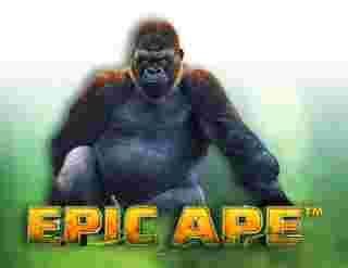 Epic Ape Game Slot Online - Permainan slot online sudah jadi salah satu tipe hiburan yang amat terkenal di golongan